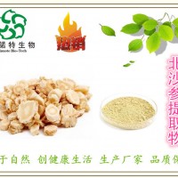 北沙参提取物 10:1 天然植物提取 浸膏粉