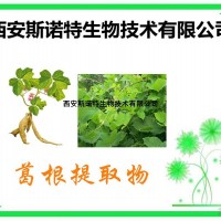 葛根素40%  葛根提取物 现货 斯诺特生物