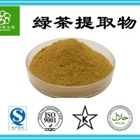 绿茶提取物 10:1 水溶性绿茶提取粉 茶多酚提取物粉98%