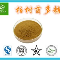 柏树菌多糖30% 柏树菌提取物 柏树菌粉 含税含运