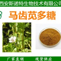 马齿笕多糖 马齿笕多肽 马齿苋提取物 10年老厂现货供应