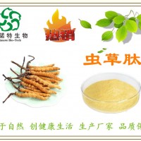 虫草多肽 低聚肽80%规格 分子量＜1000道尔顿 快速吸收