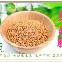 藜麦肽80% 藜麦小分子肽 三方检测 备案厂家 斯诺特生物