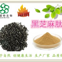 黑芝麻多肽 80%低聚肽粉 小分子肽厂家 斯诺特生物优选