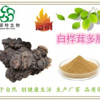 白桦茸多肽 白桦茸提取物 全水溶 速溶 现货