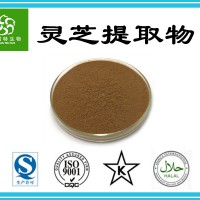 灵芝提取物 椴木灵芝提取物 灵芝多糖20%30%50% 水溶