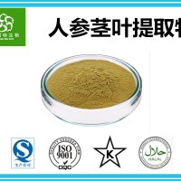 人参茎叶提取物皂甙5% 人参茎叶粉 源头厂家