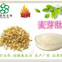 麦芽肽 麦芽低聚肽80% 全吸收