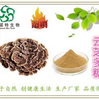 现货供应：云芝多糖30~50% 云芝子实体提取物