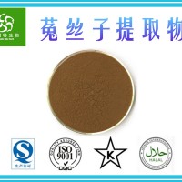 菟丝子提取物 吐丝子提取物 水溶性菟丝子粉 源头工厂供应