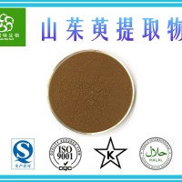 山茱萸提取物20:1 山萸肉提取物 山茱萸浓缩粉 源头工厂