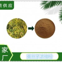 菟丝子浓缩粉供应