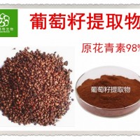 食品级原花青素98% 葡萄籽提取物 葡萄籽粉