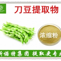 刀豆提取物 10:1 蛋白质含量高 生产厂家批发