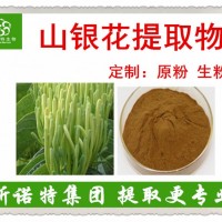 灰毡毛忍冬提取物 山银花提取物 富含绿原酸 可至98%