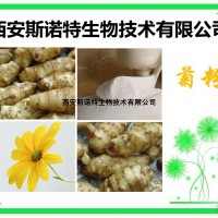 菊粉 天然菊粉98% 斯诺特生物