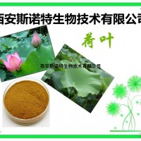 荷叶提取物 20:1 提取物  斯诺特生物