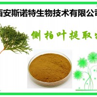 侧柏叶提取物 10:1 侧柏叶粉 现货供应