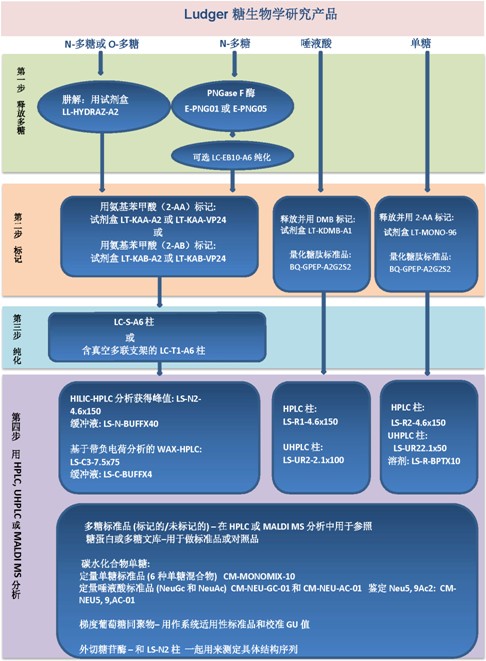 Ludger 多糖分析技术服务|Ludger|上海西宝生物科技有限公司-咨询电话：400-021-8158