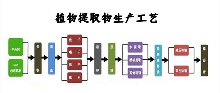 植物提取物生产工艺