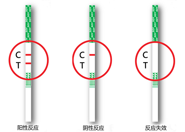 试纸条.jpg