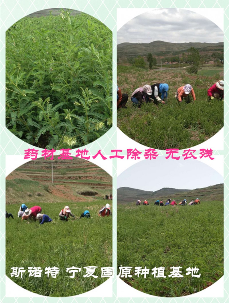 基地人工除杂照片