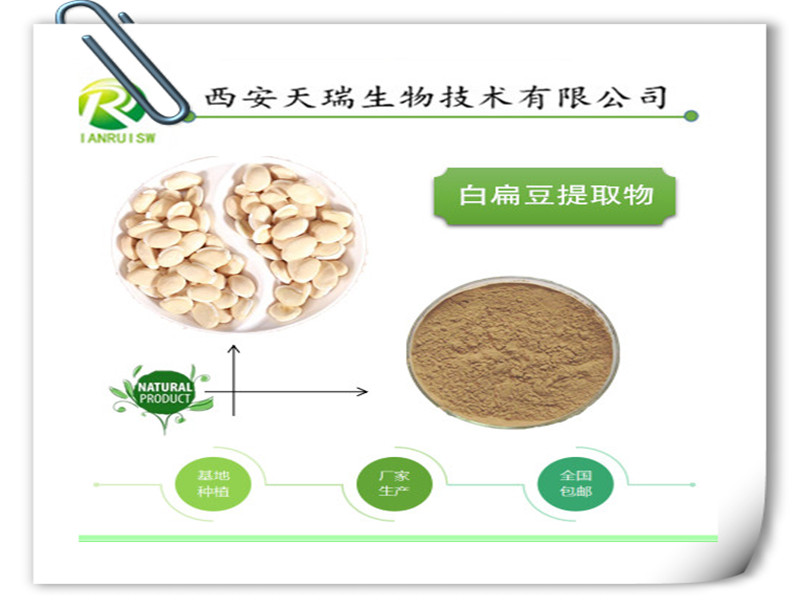 白扁豆