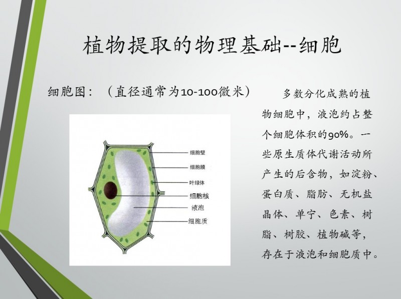 米勒丝4