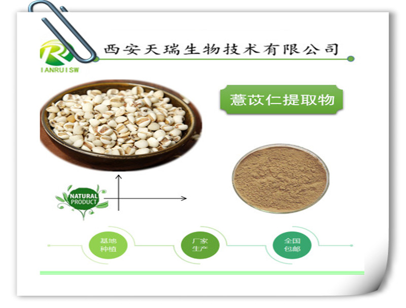 薏苡仁