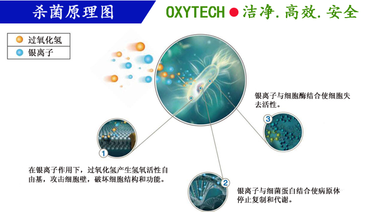 QQ截图20180614101234