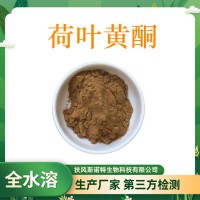 荷叶黄酮20% 厂家批发 荷叶提取物 水溶性荷叶粉