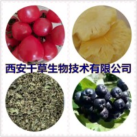 柿子提取物柿子浓缩粉柿子浸膏粉朱果粉