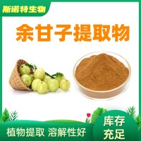 余甘子提取物 余甘子粉 余甘子浸膏粉 工厂定制规格