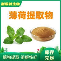 薄荷提取物10:1 SC生产厂家 现货水溶性薄荷粉