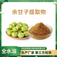 余甘子提取物 速溶余甘子粉 压片饮料原料