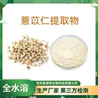 薏苡仁提取物 速溶薏苡仁粉 代餐粉饮料原料