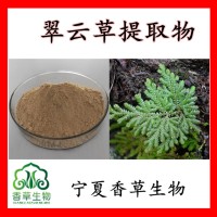 翠云草提取物 地柏叶粉98%  翠云草浸膏粉30:1