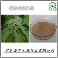 布渣叶提取物 布渣叶粉 提取液定做 水溶山茶叶浓缩粉