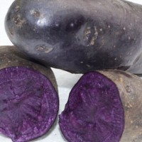 黑土豆 黑美人马铃薯 紫色马铃薯
