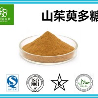 山茱萸多糖30% 山茱萸粉 山茱萸提取物 扶风生产供应基地