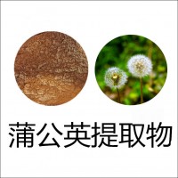 蒲公英粉供应现货资质齐全