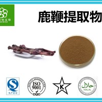 鹿鞭提取物10:1 速溶 鹿鞭粉 生产厂家 规格可定制