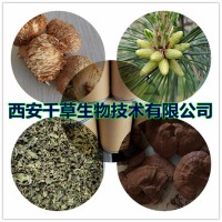 萱草提取物萱草浓缩粉萱草浸膏粉萱草粉