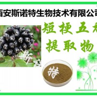 短梗五加提取物 水溶性 速溶粉 99%天然植物原料