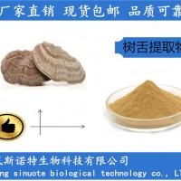 树舌提取物 树舌多糖50% 树舌萃取粉厂家