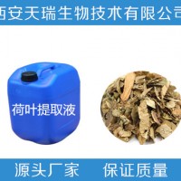 荷叶提取物   荷叶粉  实力厂家