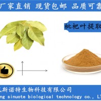 枇杷叶提取物20:1 浓缩枇杷叶粉 植物萃取厂家