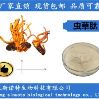 虫草肽 虫草低聚肽 虫草多肽 小分子肽厂家优惠价