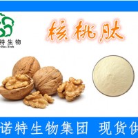 专业核桃肽 核桃多肽 核桃小分子肽 80%含量 高生物活性