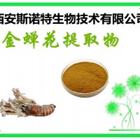 金蝉花提取物 20:1 虫花粉 原料提取 可试样